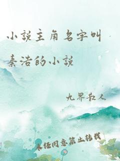 小说主角名字叫秦浩的小说