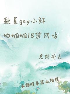 欧美gay小鲜肉啪啪18禁网站