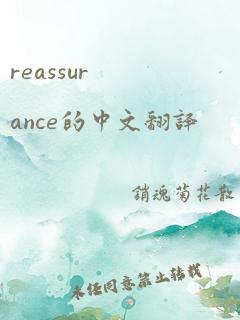 reassurance的中文翻译