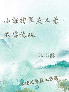 小说将军夫人惹不得沈婉