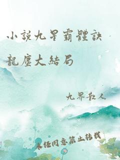 小说九星霸体诀龙尘大结局