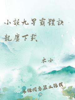 小说九星霸体诀龙尘下载