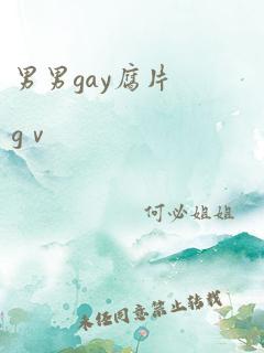 男男gay腐片gⅴ