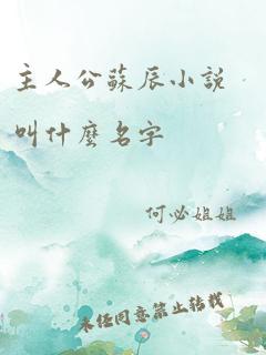 主人公苏辰小说叫什么名字