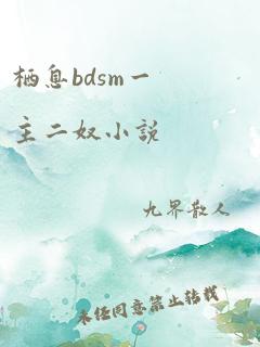 栖息bdsm一主二奴小说