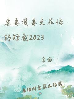 虐妻追妻火葬场的短剧2023