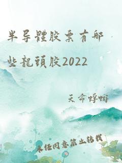 半导体股票有哪些龙头股2022