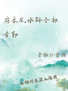 麻衣风水师全部章节