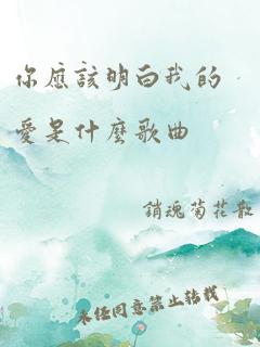 你应该明白我的爱是什么歌曲