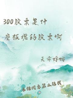 300股票是什么板块的股票啊