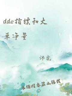 dde指标和大单净量