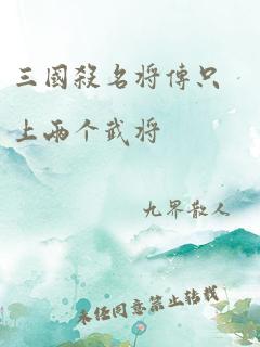 三国杀名将传只上两个武将