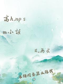 高h,np sm小说