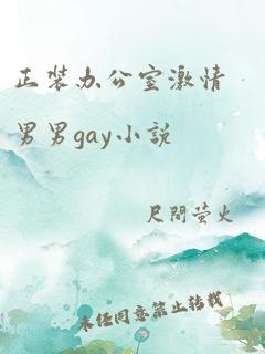 正装办公室激情男男gay小说