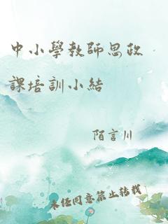 中小学教师思政课培训小结