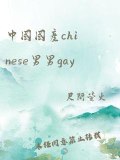 中国国产chinese男男gay