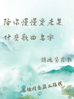 陪你慢慢变老是什么歌曲名字