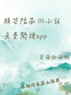 顾芒陆承洲小说免费阅读app