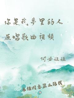 你是我梦里的人原唱歌曲视频