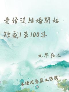 爱情从结婚开始短剧1至100集