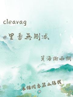 cleavage里番无删减