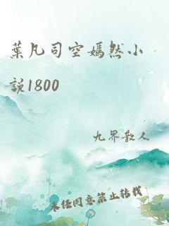 叶凡司空嫣然小说1800