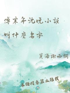 傅寒年沈晚小说叫什么名字