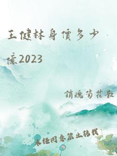 王健林身价多少亿2023