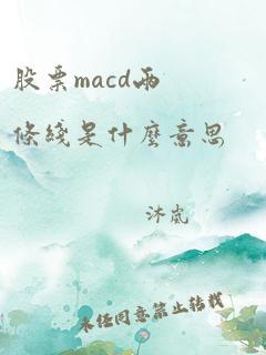 股票macd两条线是什么意思