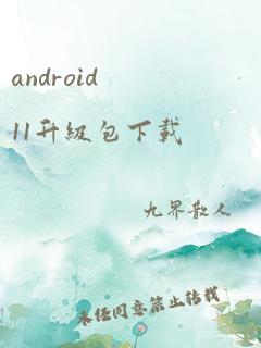 android11升级包下载