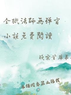 全职法师无弹窗小说免费阅读