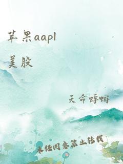 苹果aapl 美股