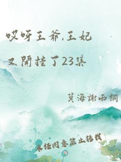 哎呀王爷,王妃又开挂了23集