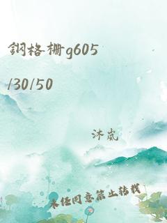 钢格栅g605/30/50