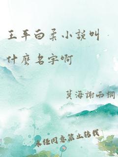 王平白柔小说叫什么名字啊