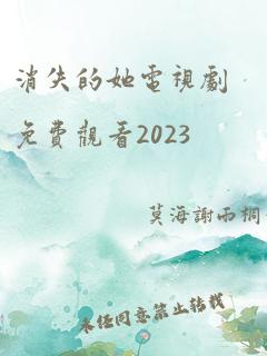 消失的她电视剧免费观看2023