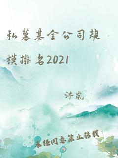 私募基金公司规模排名2021