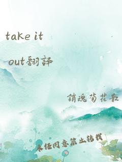 take it out翻译