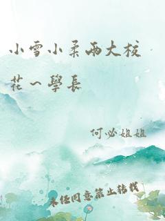 小雪小柔两大校花～学长