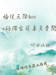 婚从天降boss的独家萌妻免费阅读