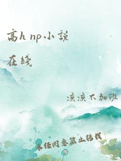 高h np小说在线