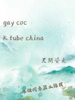 gay cock tube china