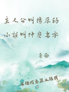 主人公叫杨辰的小说叫什么名字