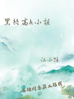 黑丝高h小说