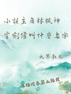 小说主角林枫神霄剑修叫什么名字