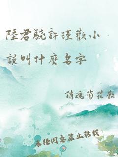 陆君骁许瑾欢小说叫什么名字