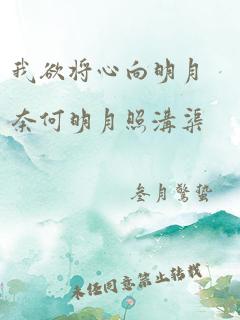 我欲将心向明月奈何明月照沟渠