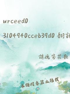 wrceed03104940cceb39d0 翻译