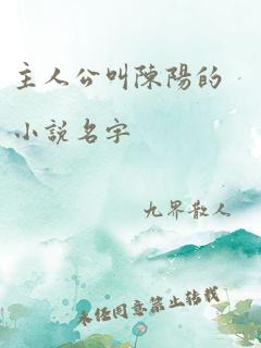 主人公叫陈阳的小说名字