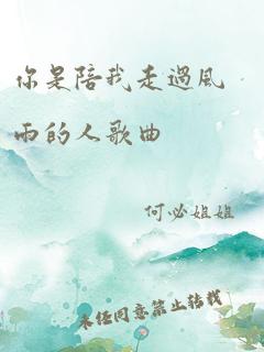 你是陪我走过风雨的人歌曲